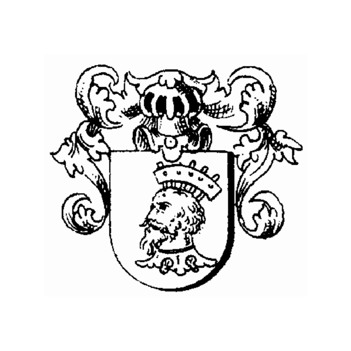 Escudo de la familia Haubtmeyer