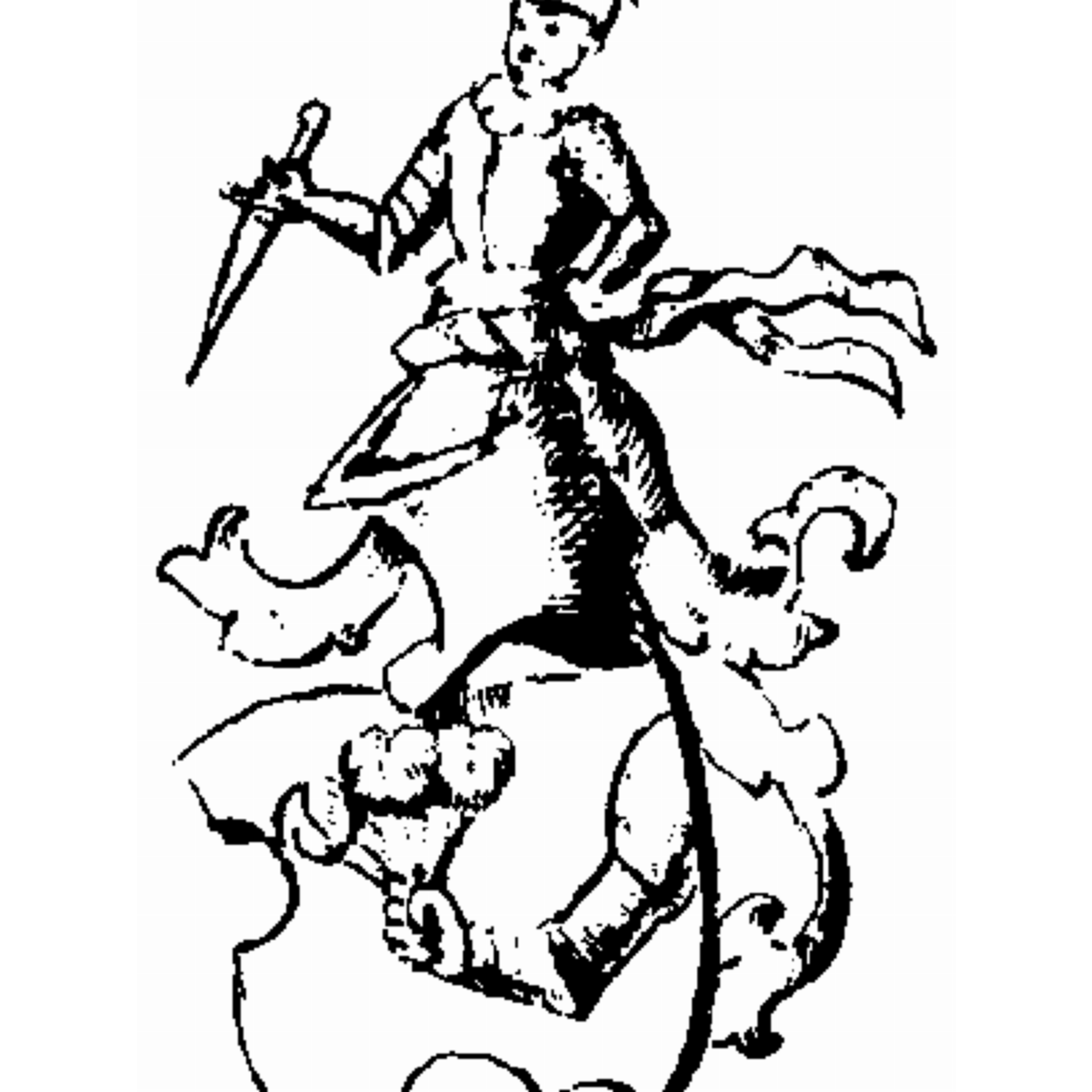 Coat of arms of family Tragdenknaben