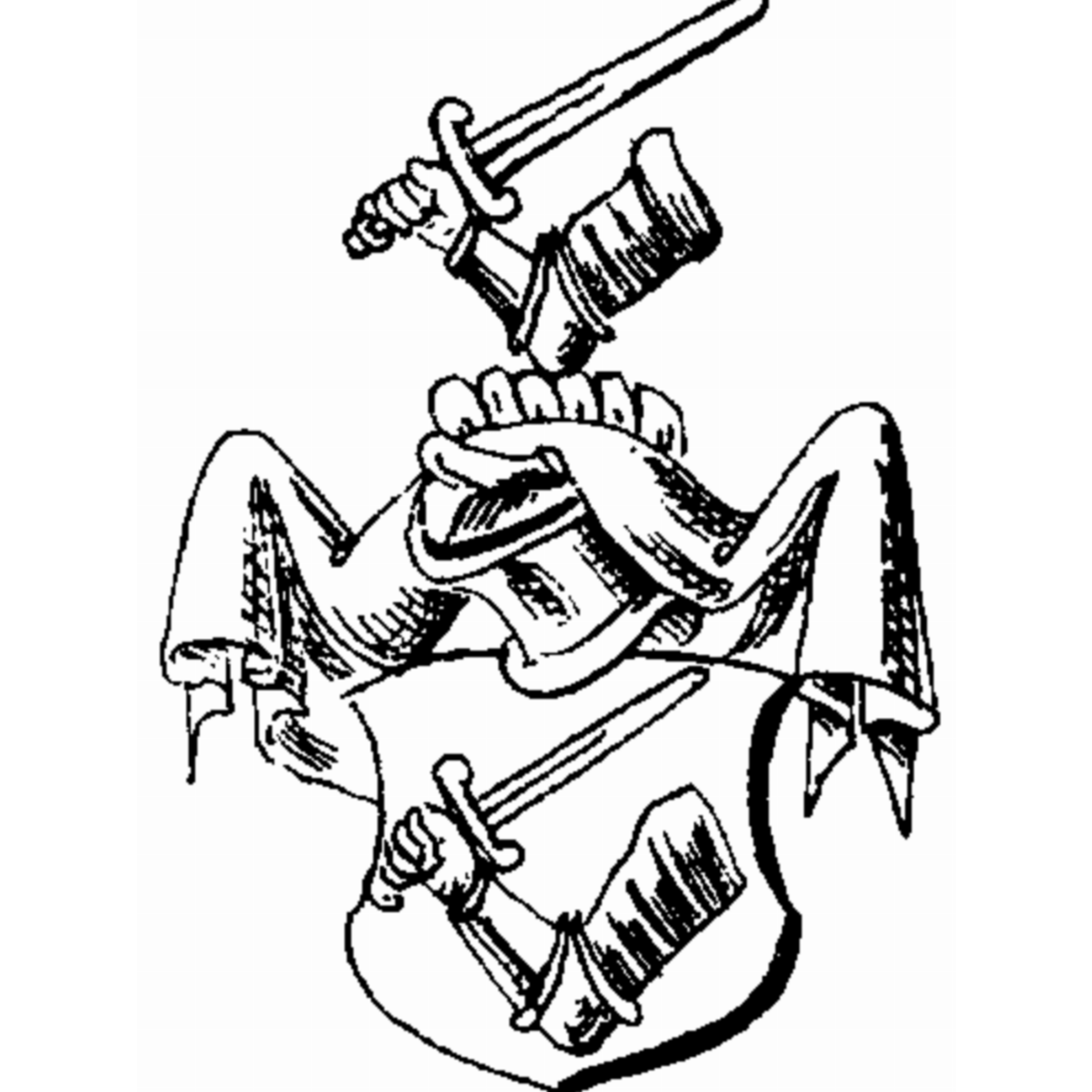 Coat of arms of family Draing