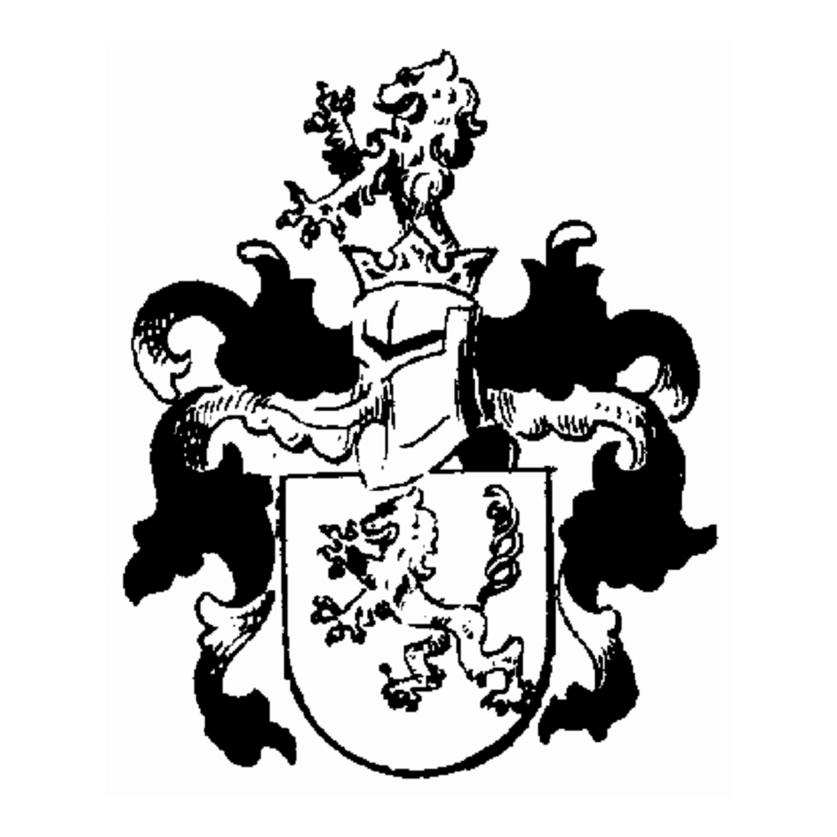 Coat of arms of family Adamus