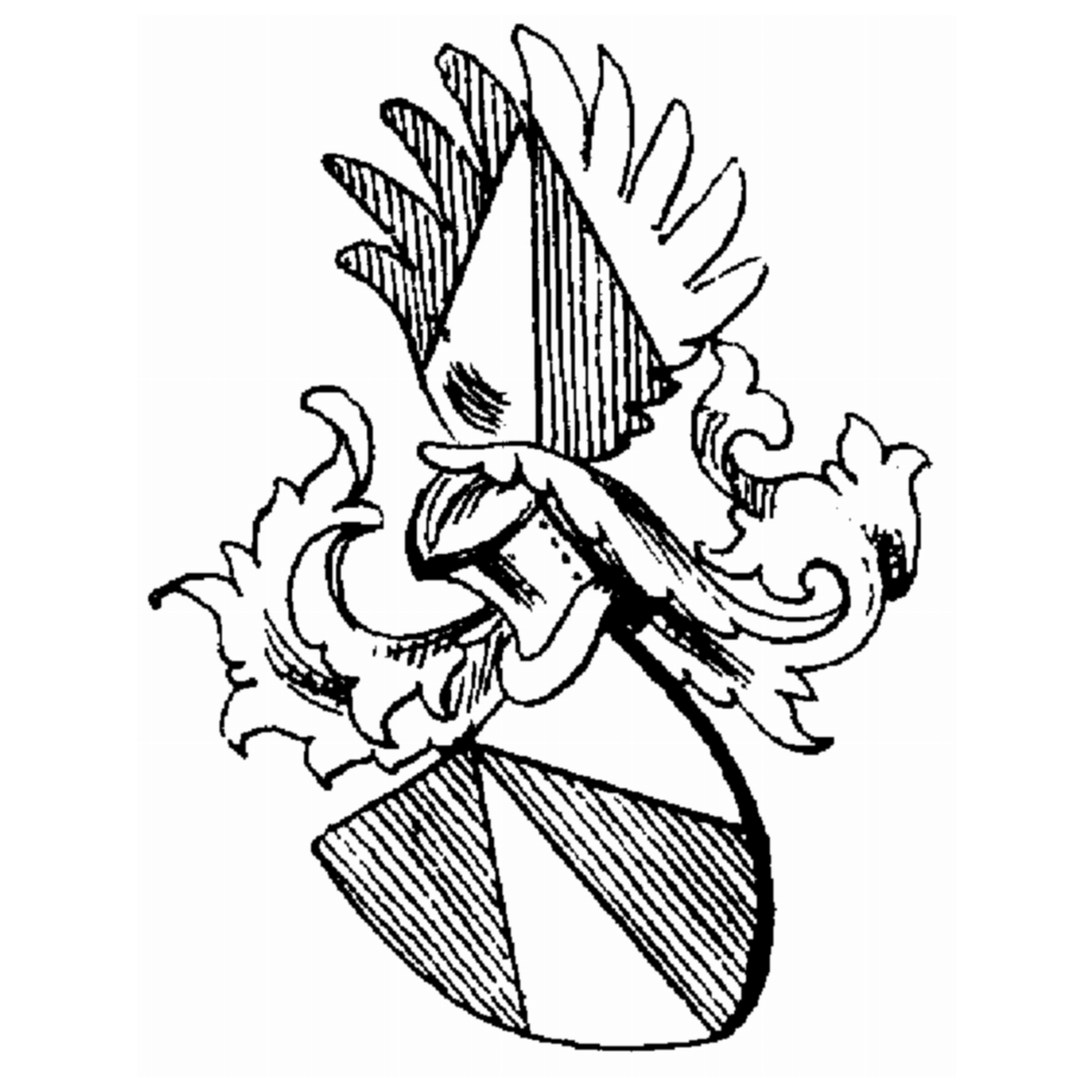 Coat of arms of family Rosinus