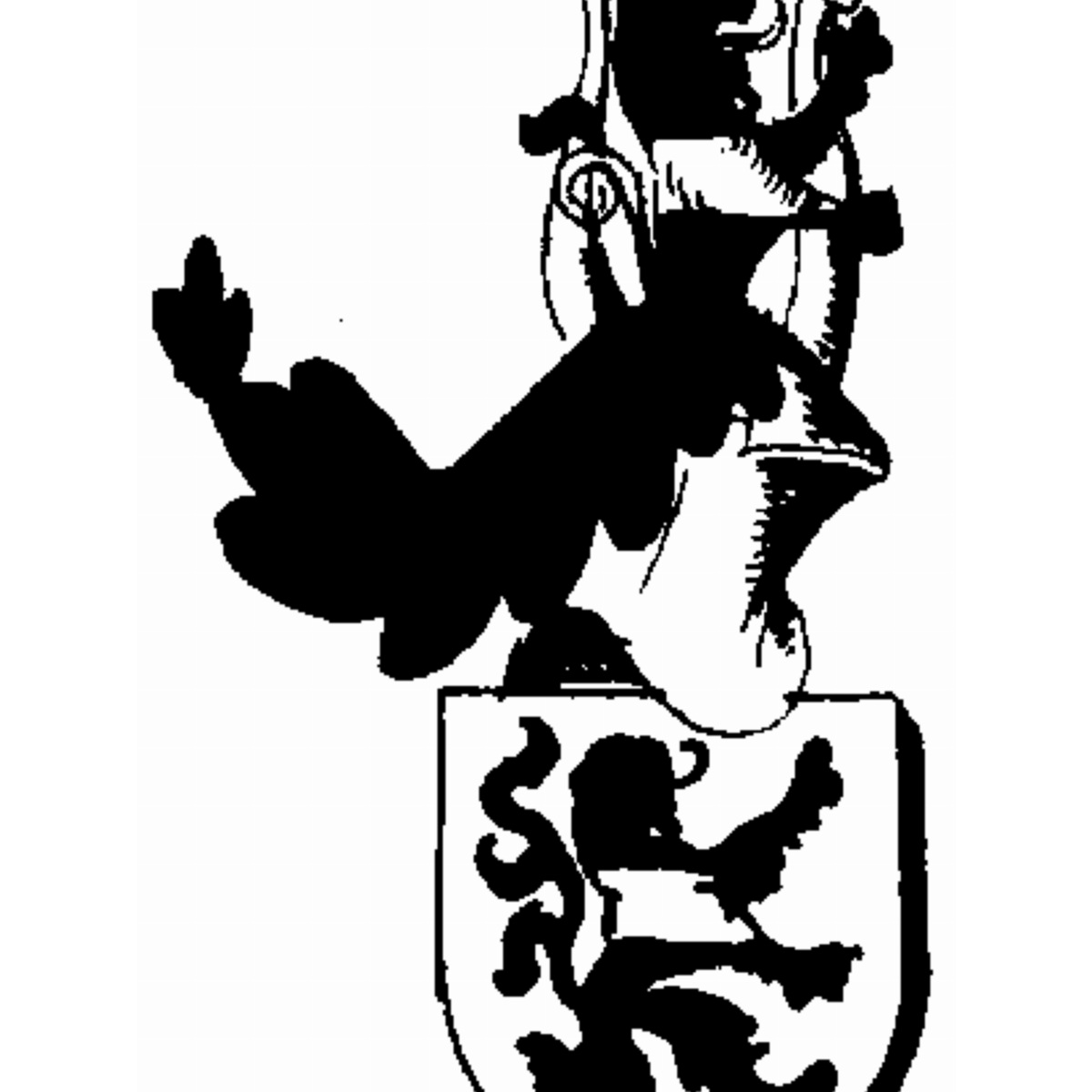 Coat of arms of family Surappel