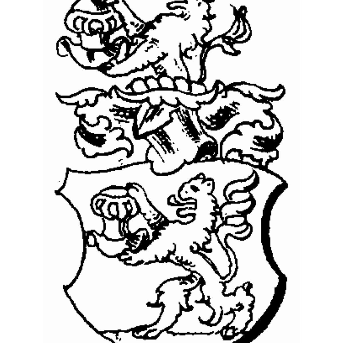 Coat of arms of family Jungeblutt
