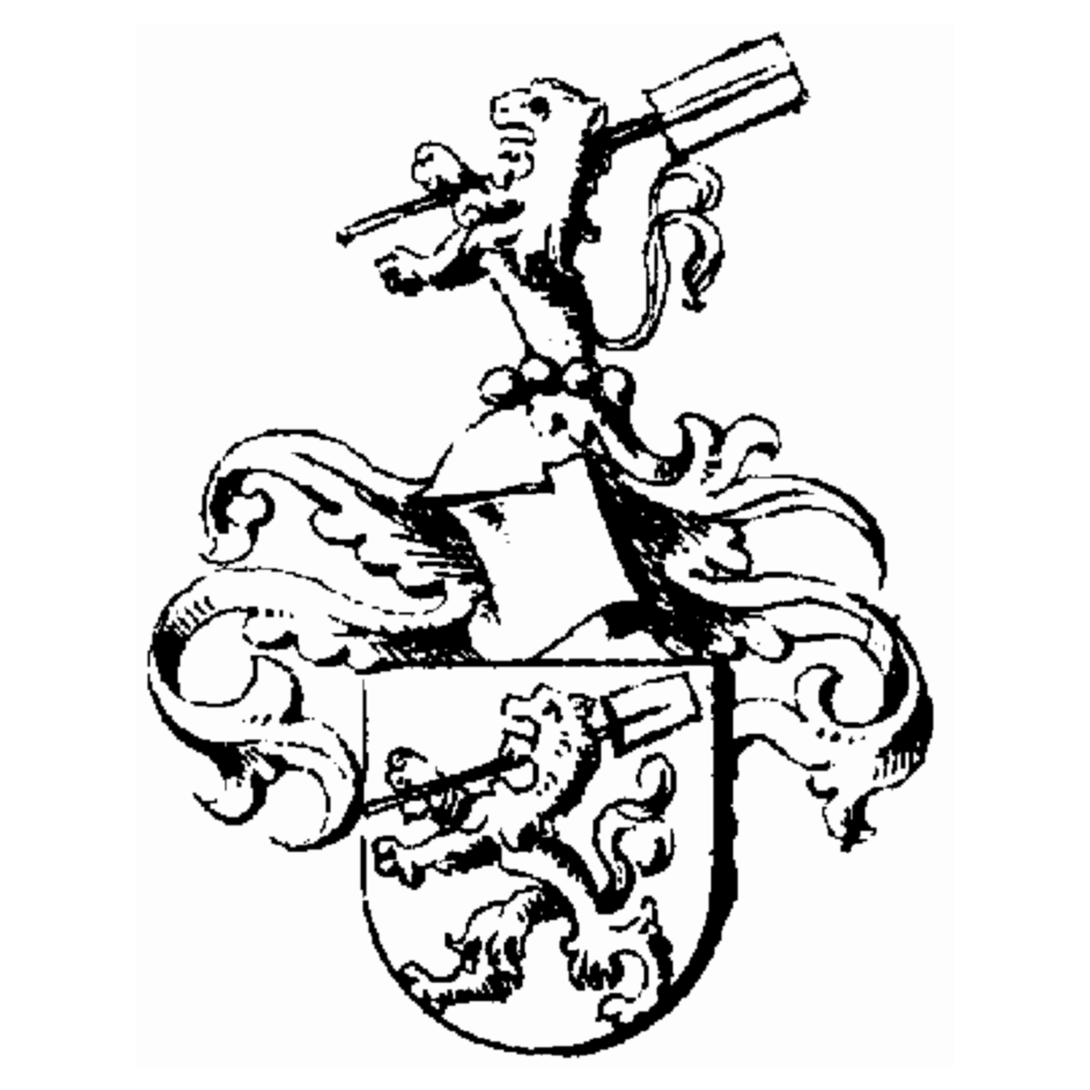Coat of arms of family Zaglhamer