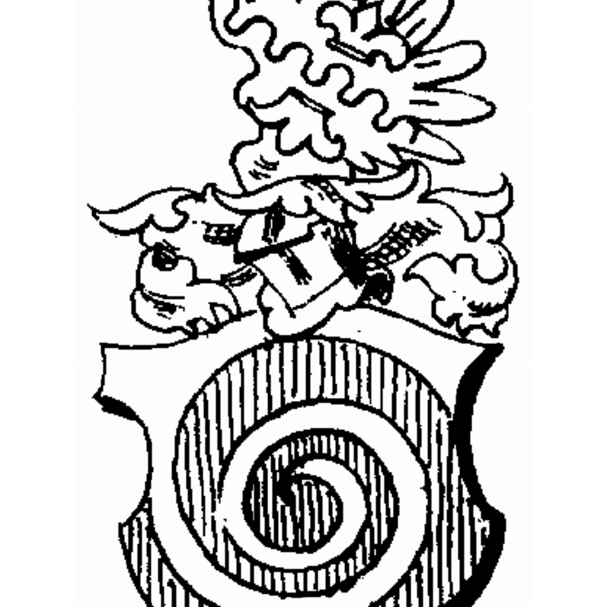 Coat of arms of family Molzan