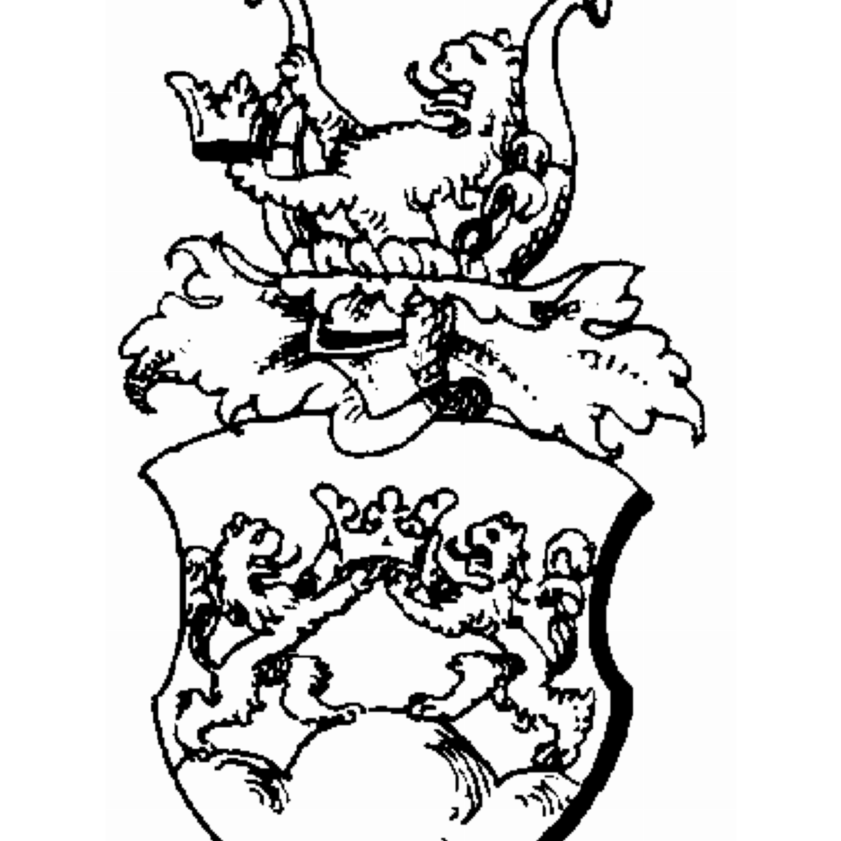 Coat of arms of family