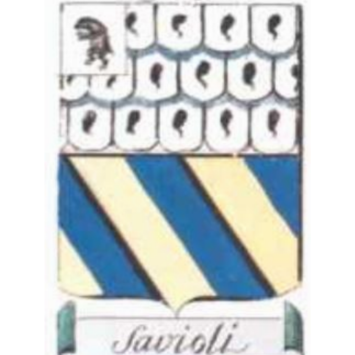 Escudo de la familiaSavioli Fontana Coltelli, Savioli Fontana Coltelli,Saviolli,Saviolo