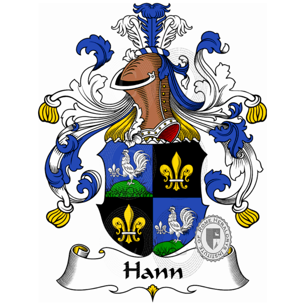 Coat of arms of familyHann