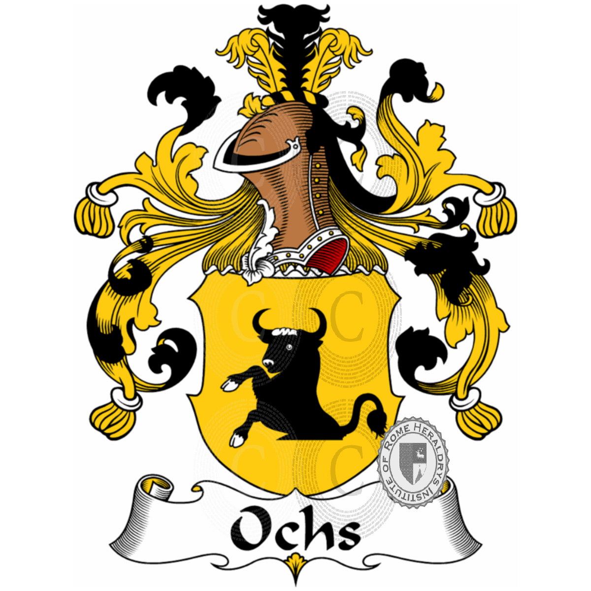 Coat of arms of familyOchs
