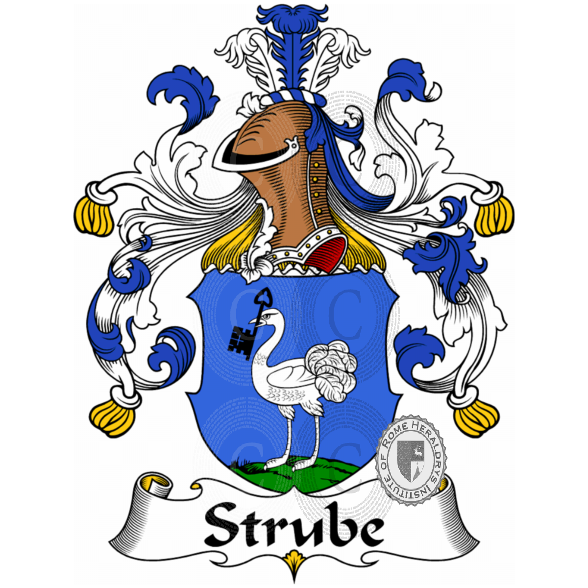 Coat of arms of familyStrube