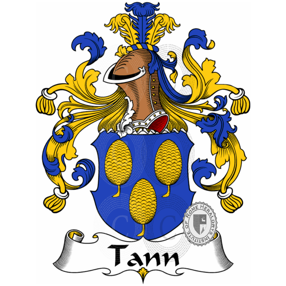 Coat of arms of familyTann