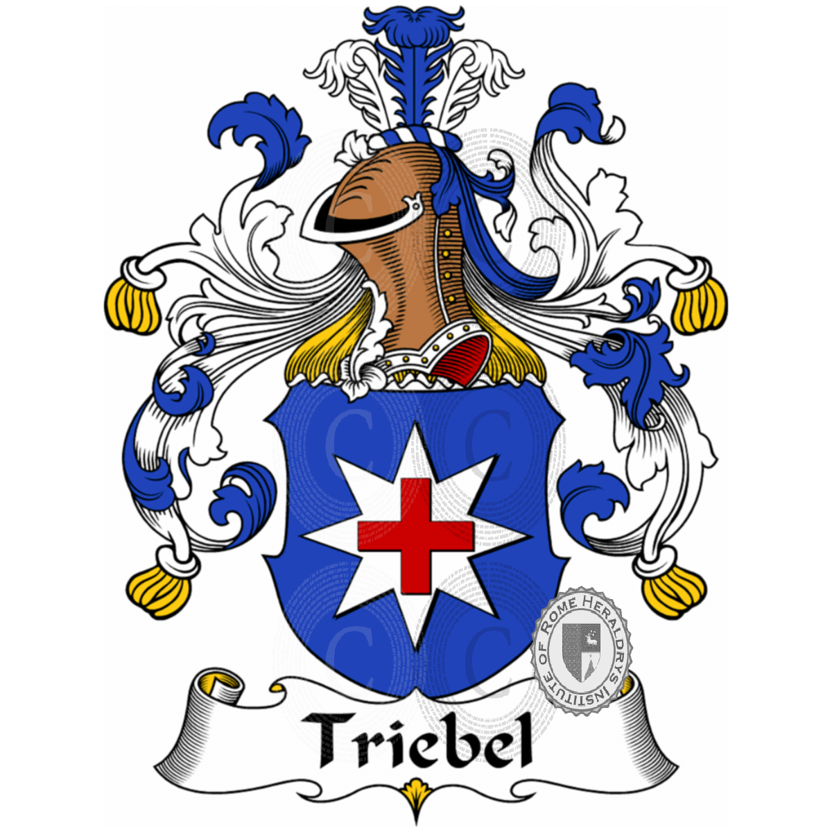Coat of arms of familyTriebel