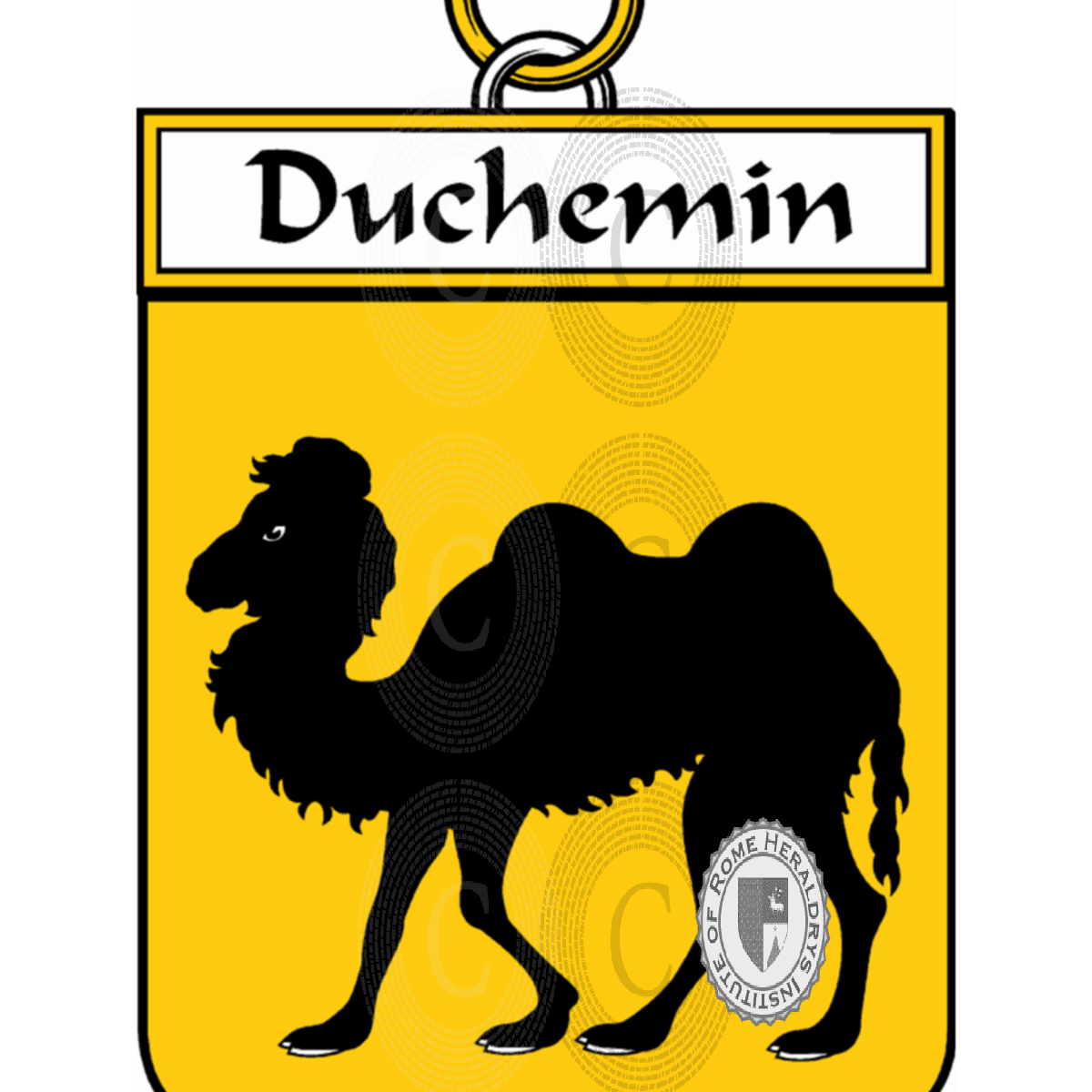 Coat of arms of familyDuchemin