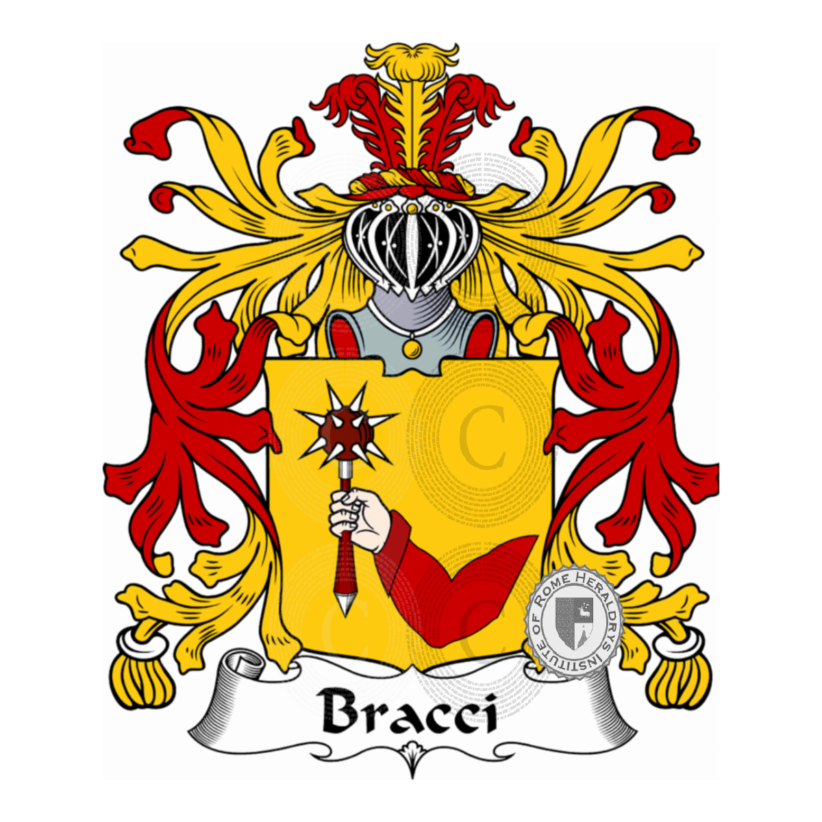 Coat of arms of familyBracci