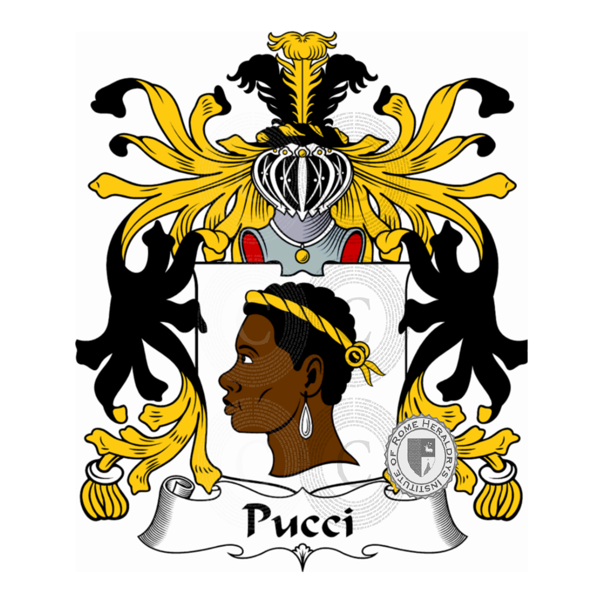 Brasão da famíliaPucci, Pucci del Chiassolino,Pucci della Filicaia,Pucci delle Stelle,Pucci di Ponte,Pucci Franceschi,Puccio
