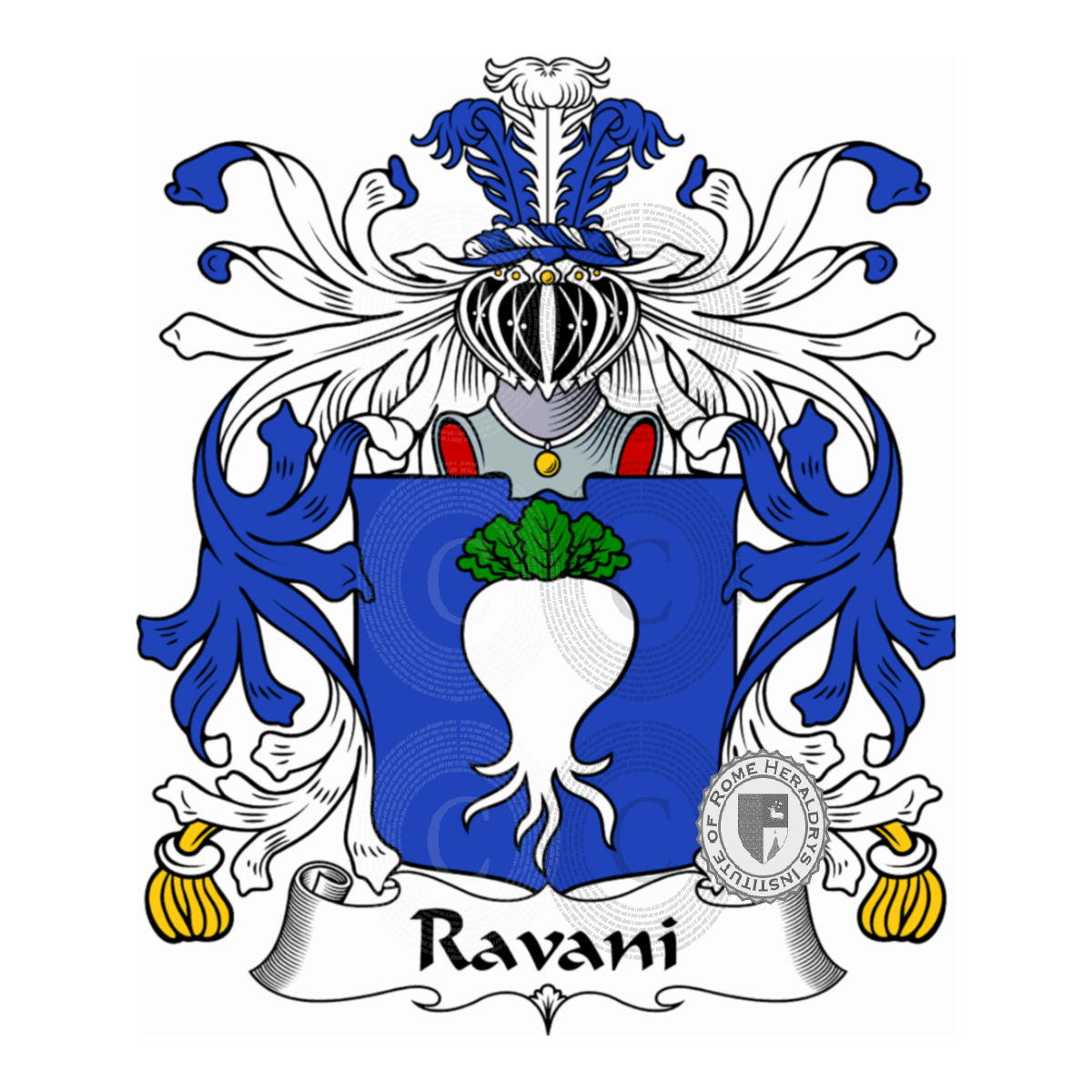 Coat of arms of familyRavani