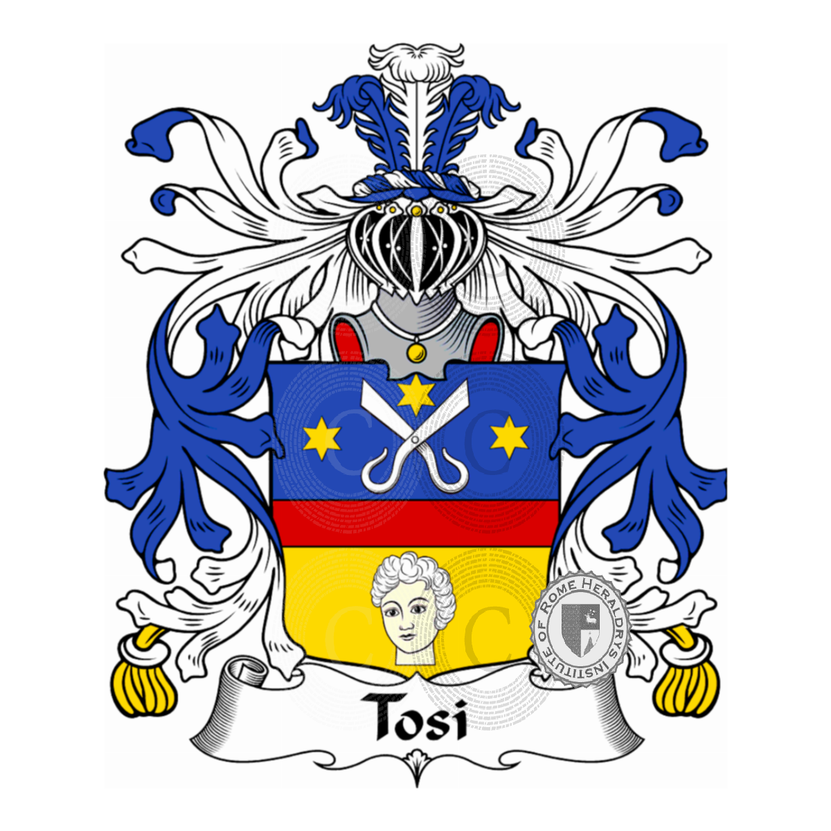 Escudo de la familiaTosi, Toso,Tossi