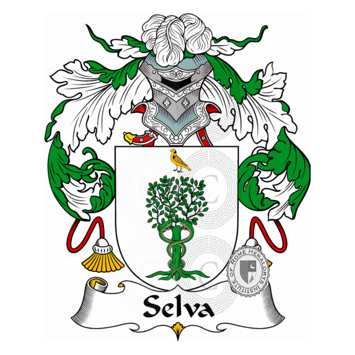 Wappen der FamilieSelva