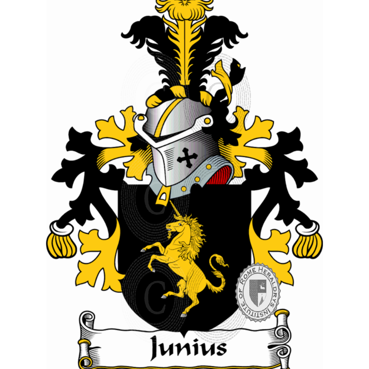 Coat of arms of familyJunius