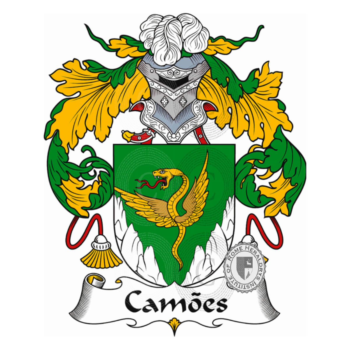 Coat of arms of familyCamões
