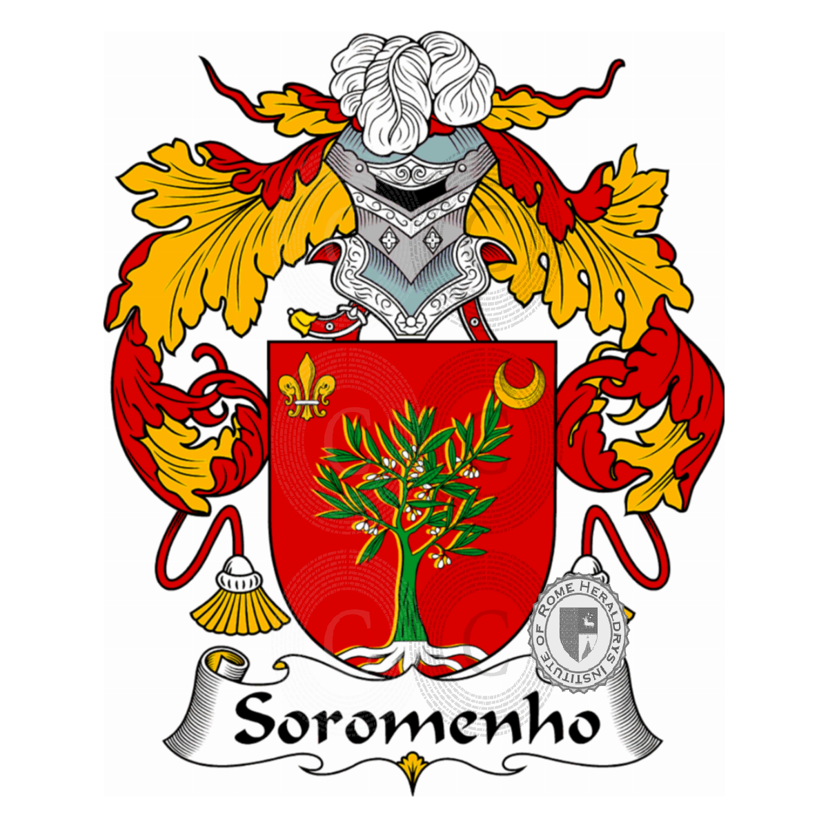 Coat of arms of familySoromenho