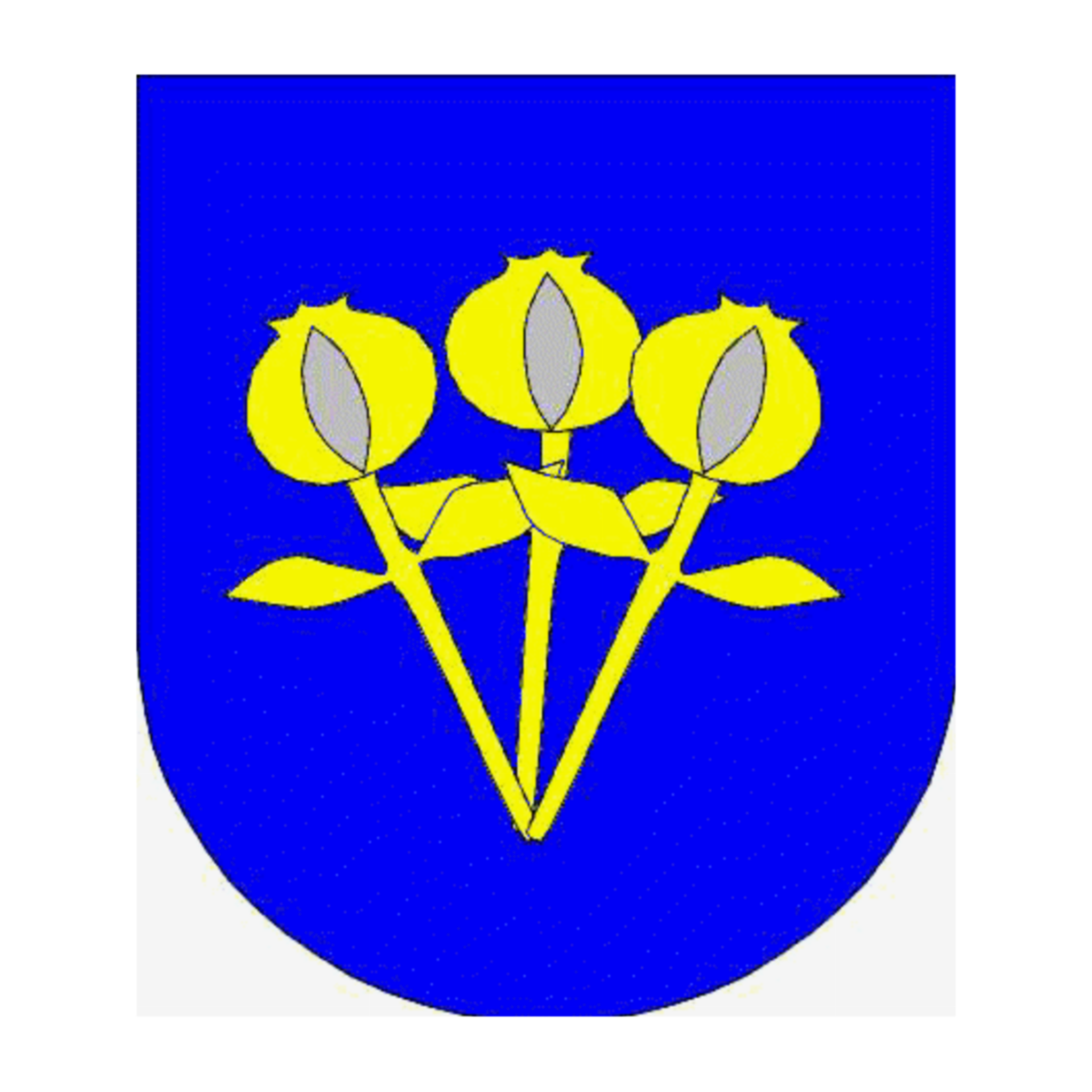 Wappen der FamiliePañelles