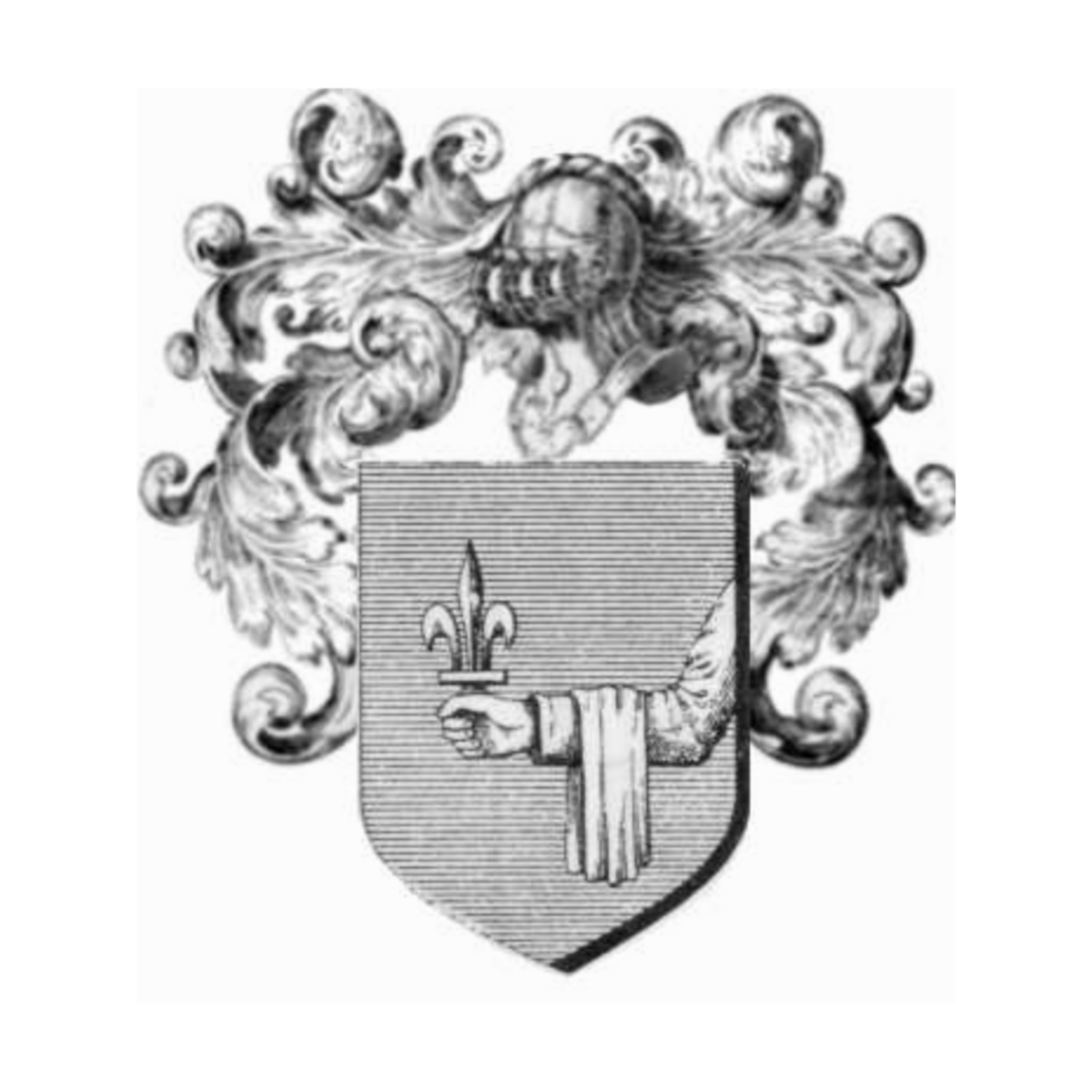 Coat of arms of familyMarche