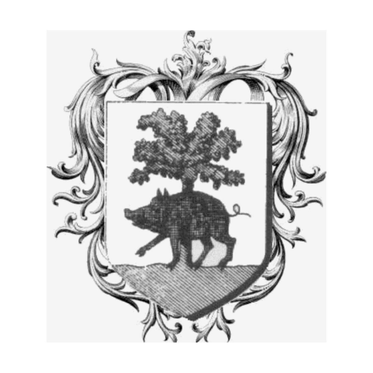 Coat of arms of familyMorin
