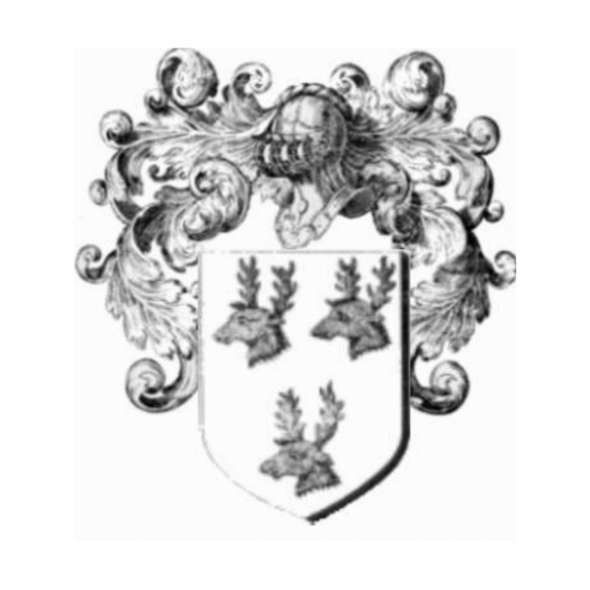 Coat of arms of familyPasquer