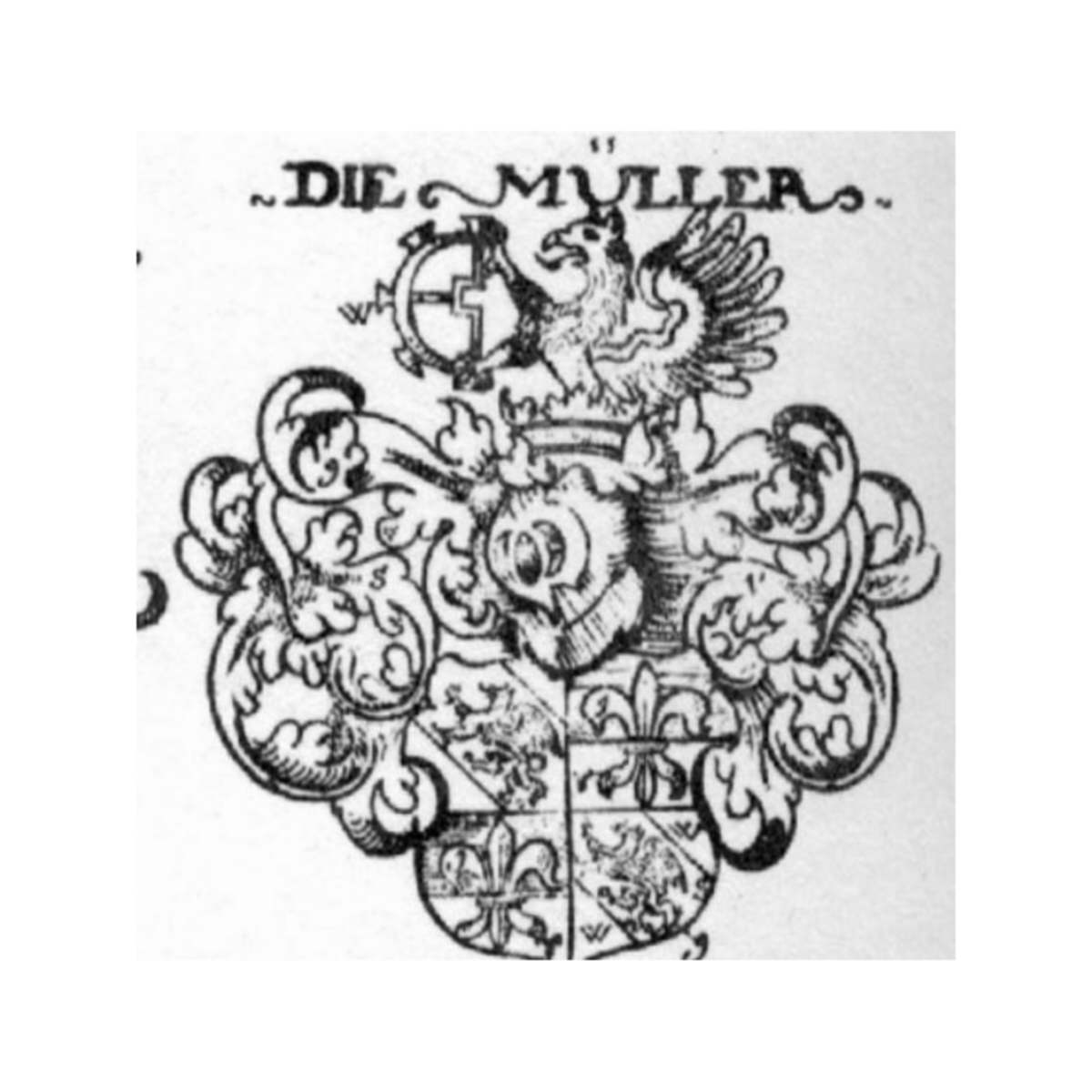 Wappen der FamilieMüller