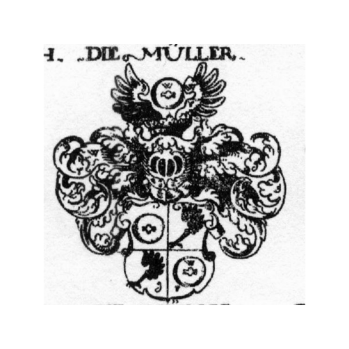 Coat of arms of familyMüller