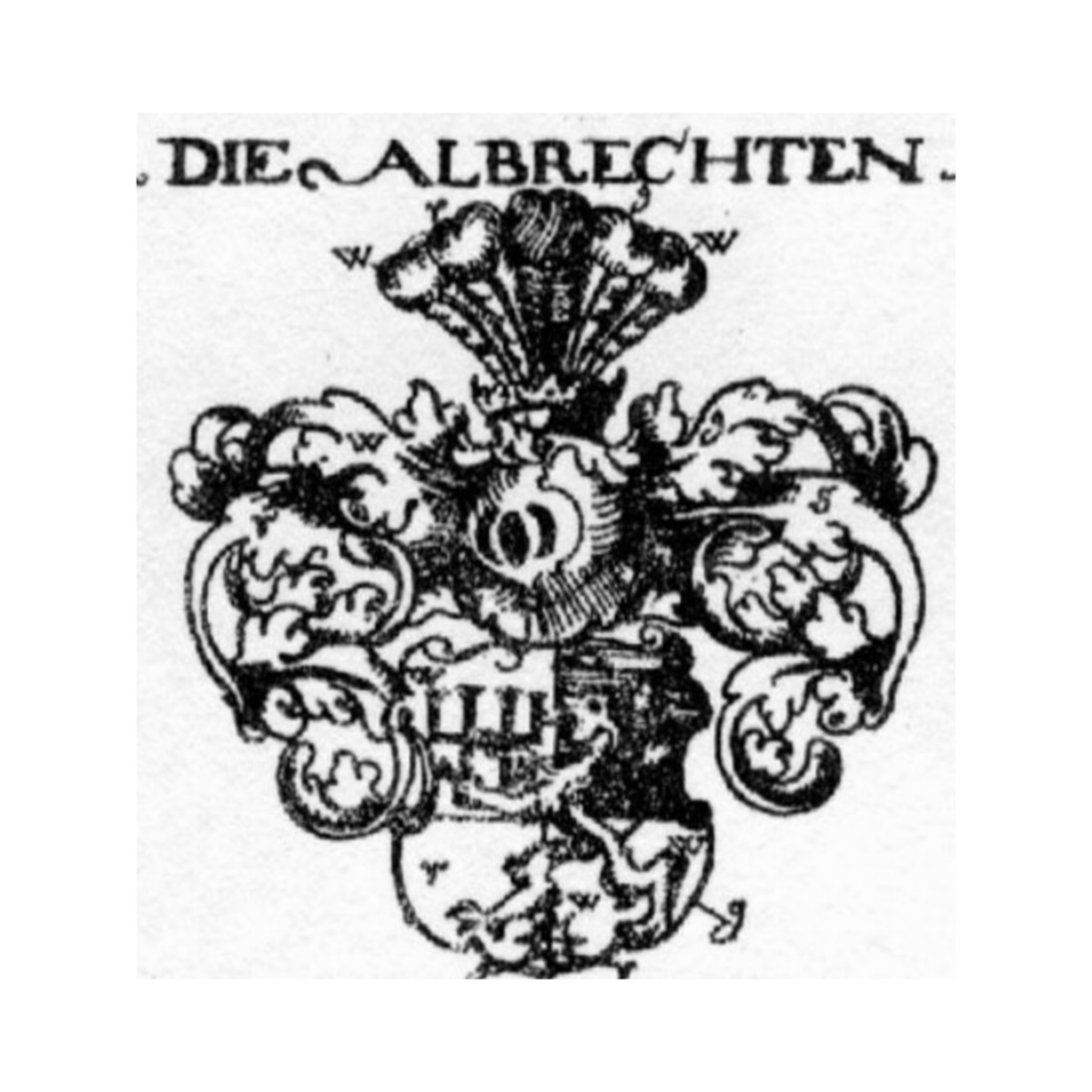 Wappen der FamilieAlbrecht, Albrecht von Albrechtsburg