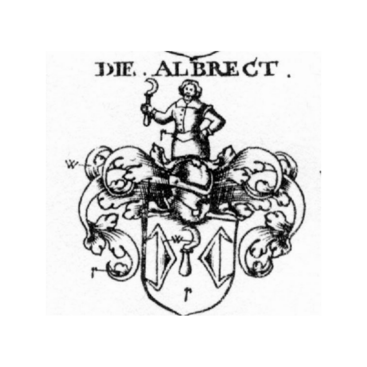 Brasão da famíliaAlbrecht, Albrecht von Albrechtsburg