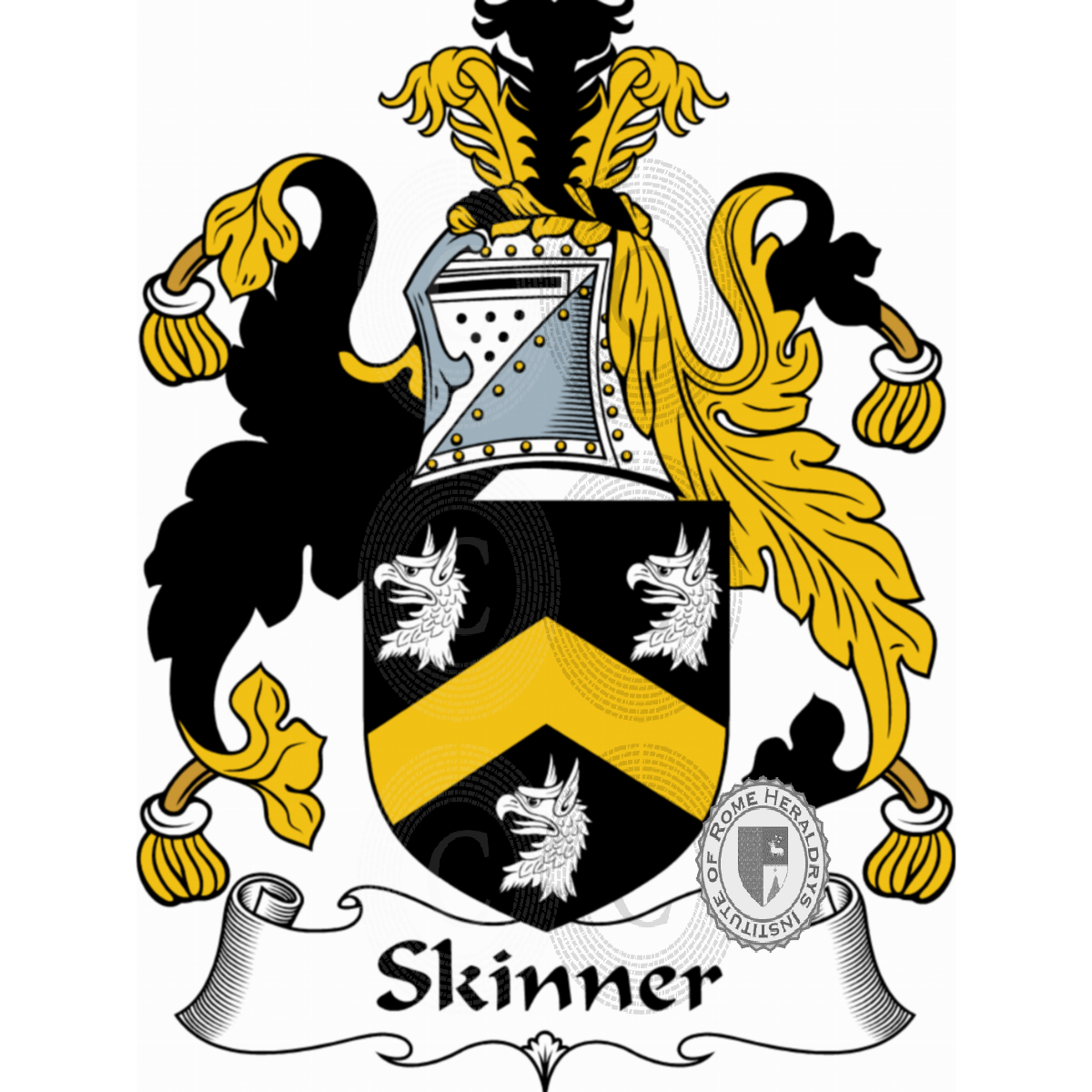 Wappen der FamilieSkinner