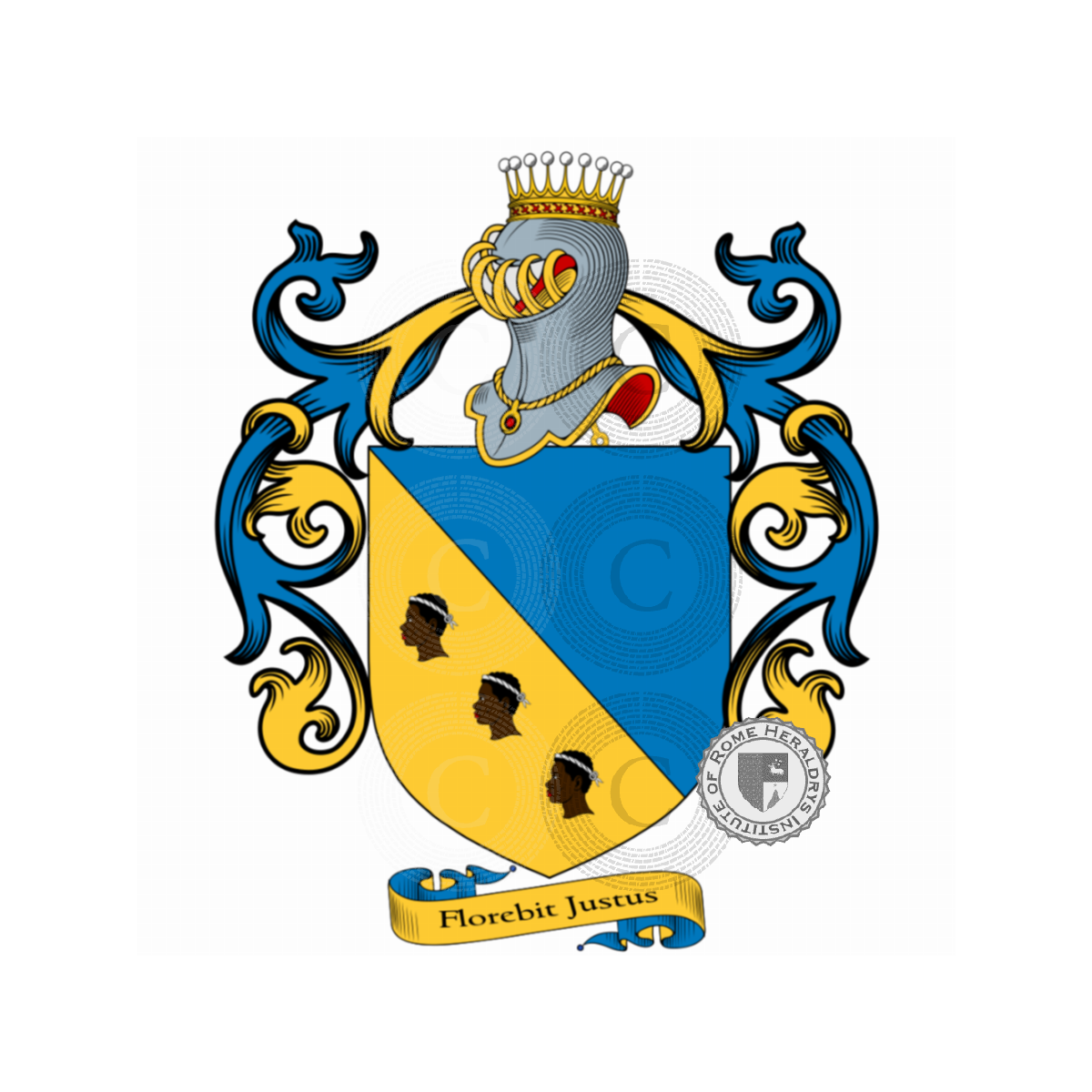 Escudo de la familiaNegri, Negri della Torre,Negri di Pietra Saina