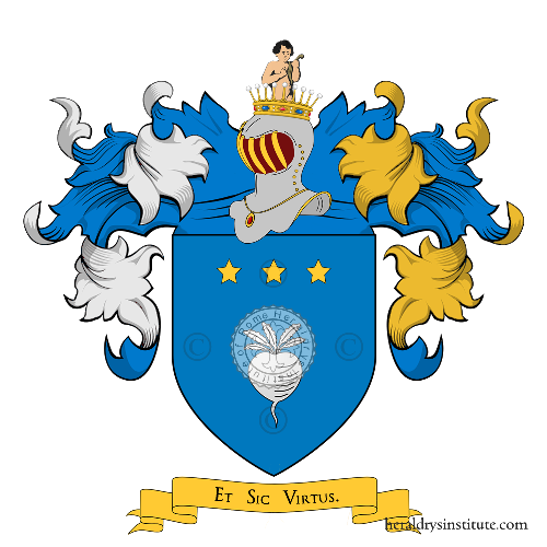 Coat of arms of family Ravicchio - ref:20172