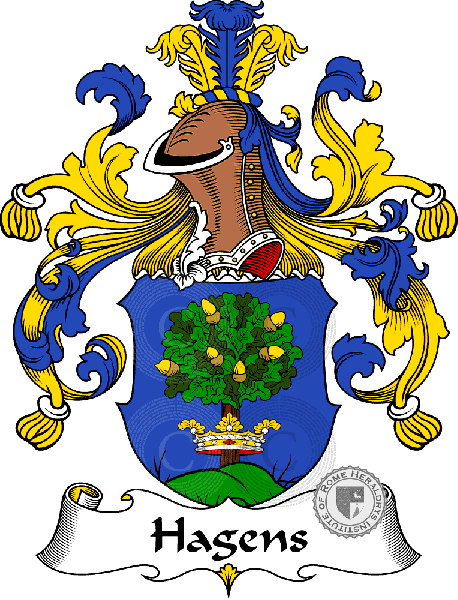 Coat of arms of family Hagens - ref:30711