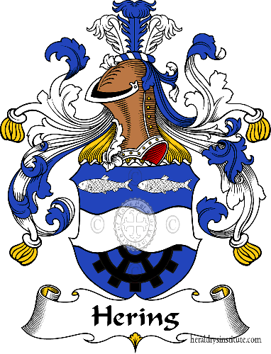 Wappen der Familie Hering - ref:30851