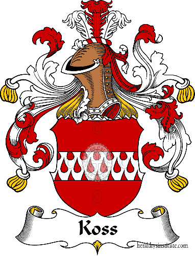 Coat of arms of family Koss - ref:31118