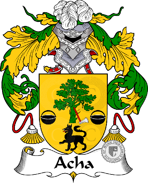 Coat of arms of family Acha II - ref:36128