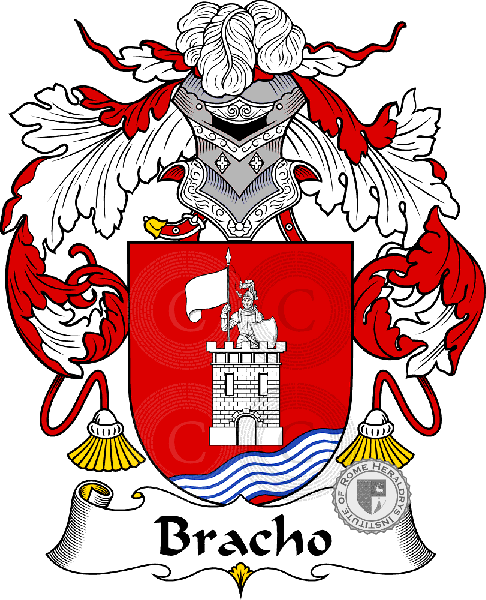 Escudo de la familia Bracho - ref:36534