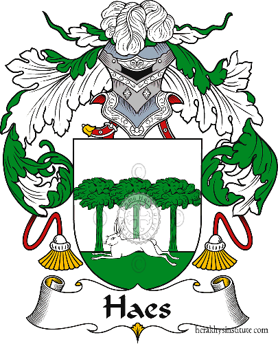 Coat of arms of family Haes or Hasse - ref:40762