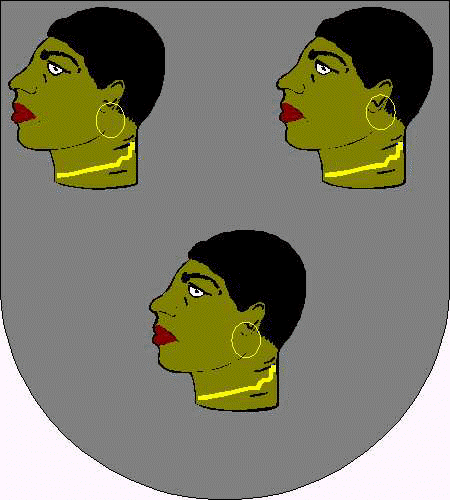 Coat of arms of family Mina - ref:43839