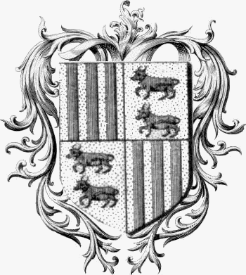 Coat of arms of family De Foix