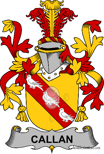Wappen der Familie Callan, O'Callan   ref: 58218