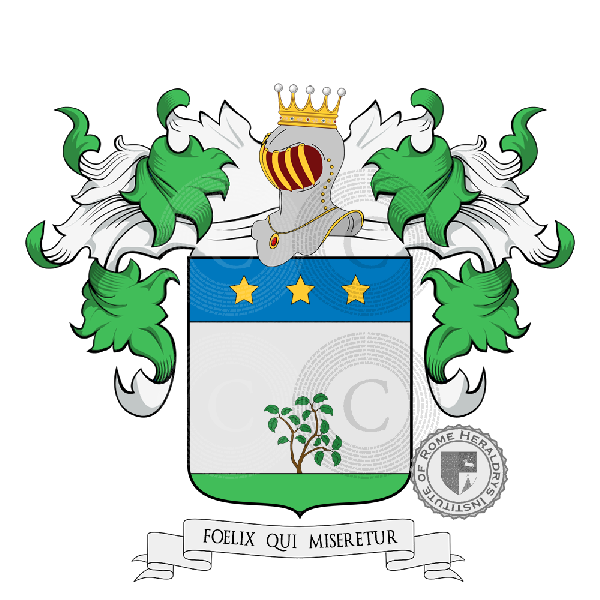 Coat of arms of family Salvio