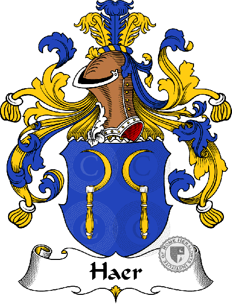 Coat of arms of family Haer