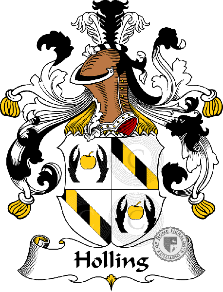 Wappen der Familie Holling