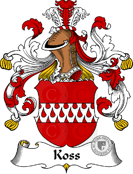 Coat of arms of family Koss