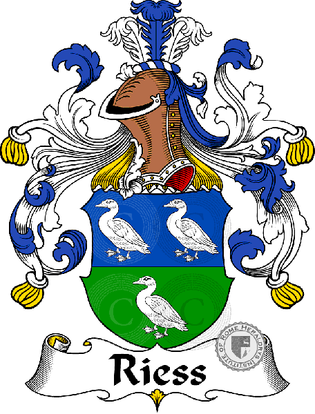 Wappen der Familie Riess